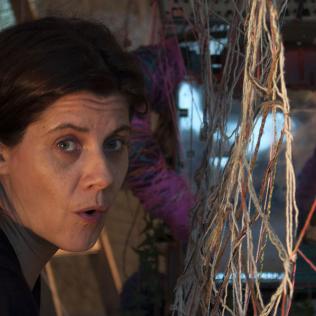 Luego de montar La flor imposible en ENLACES 2013