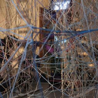 La flor imposible - ENLACES 2013